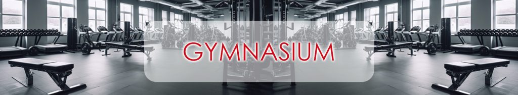 Gymnasium