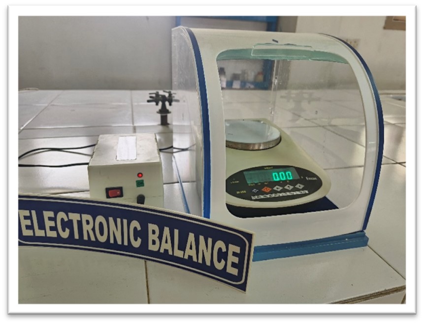 Digital electronic balance