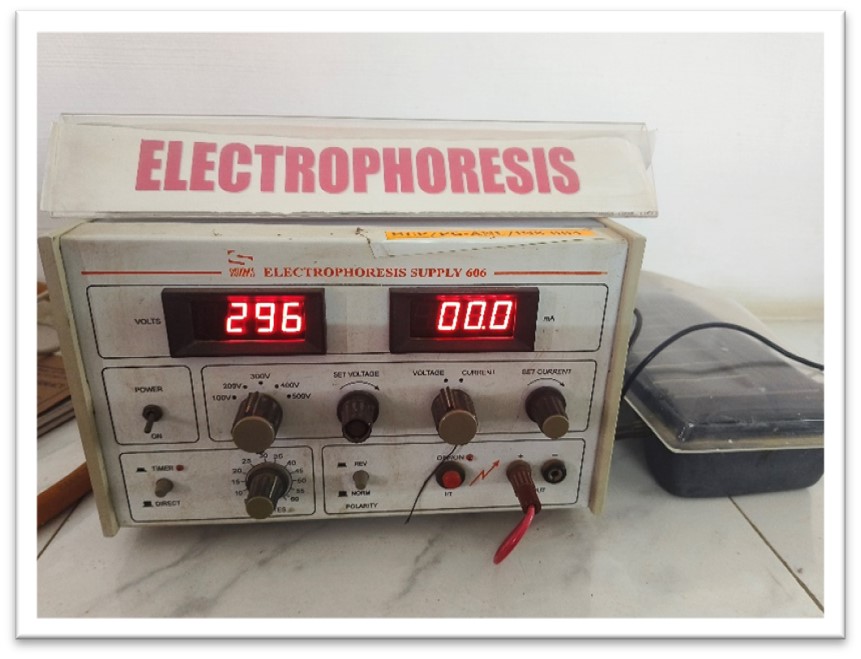 Electrophoresis